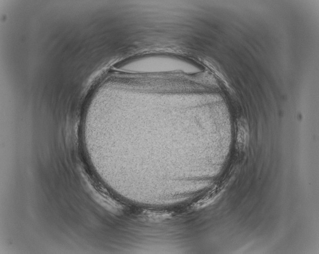 X0000081420491200701261557