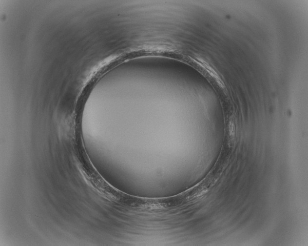 X0000081420492200701261557