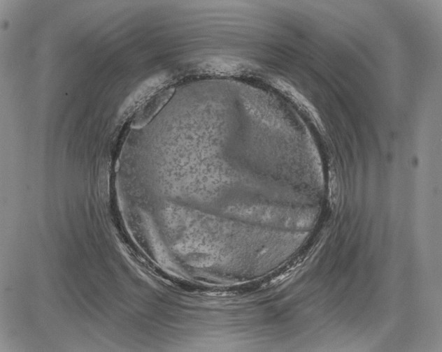 X0000081420493200701261557