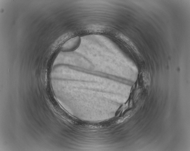 X0000081420494200701261557