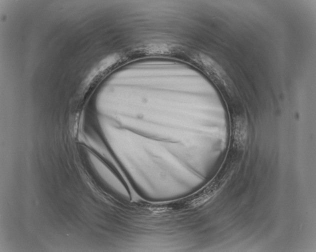 X0000081420495200701261557