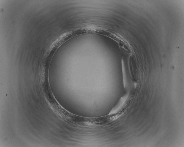 X0000081420496200701261557