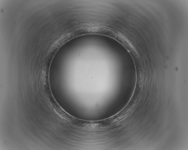 X0000081420497200701261557