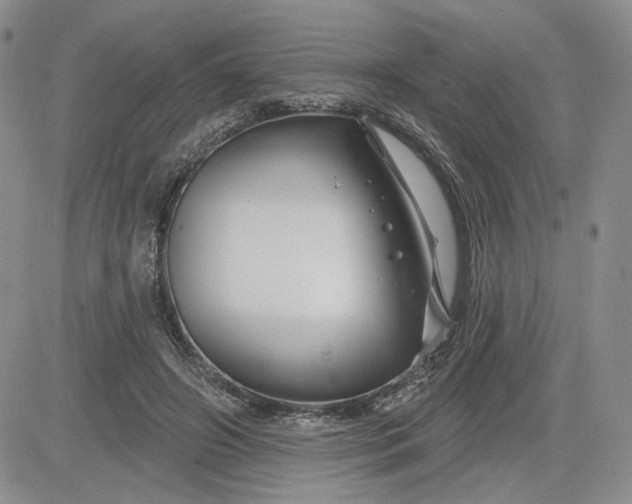 X0000081420498200701261557