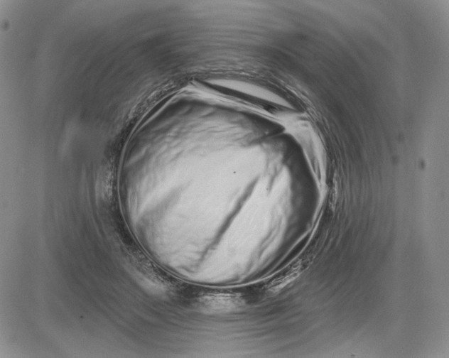 X0000081420499200701261557