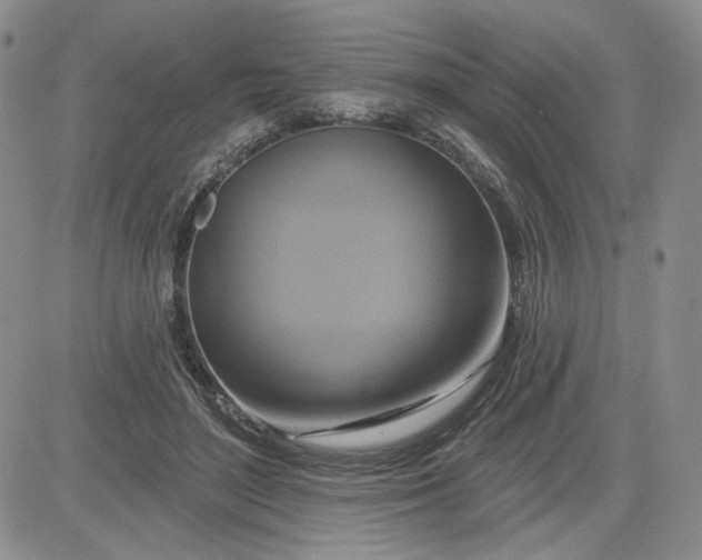 X0000081420500200701261557