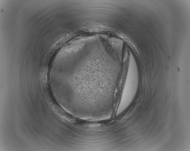 X0000081420501200701261557