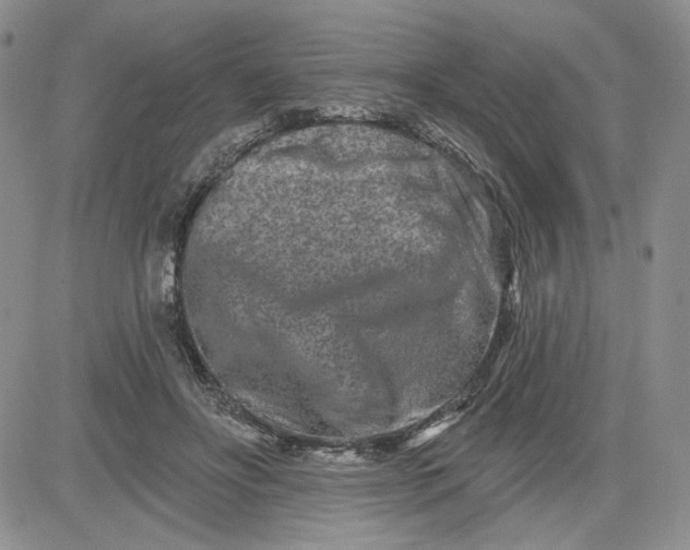 X0000081420502200701261557