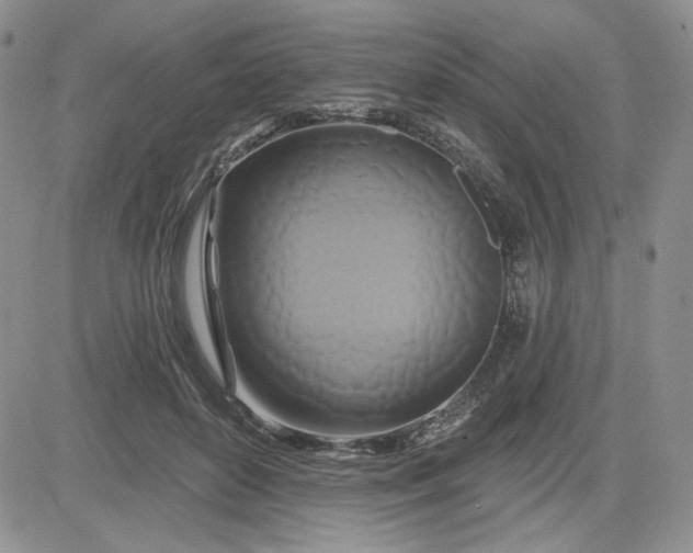 X0000081420504200701261557