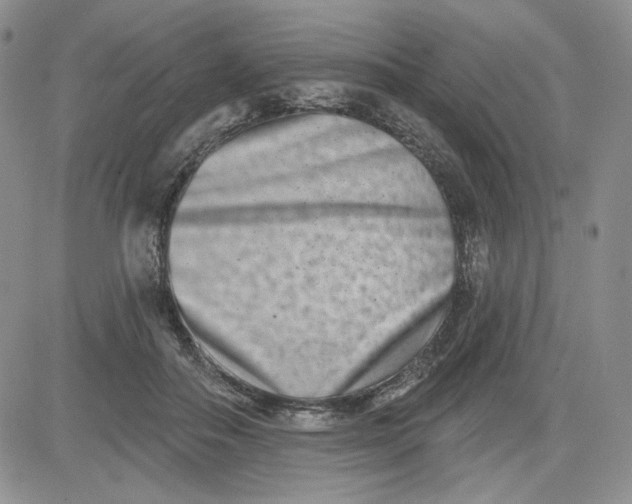 X0000081420506200701261557