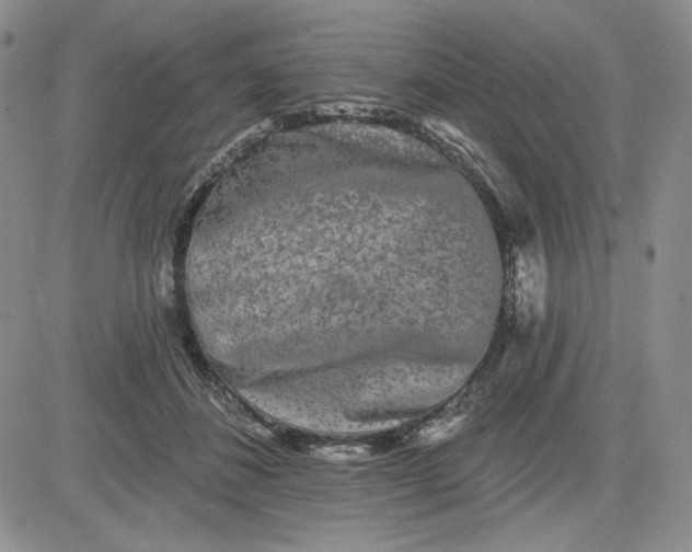 X0000081420508200701261557