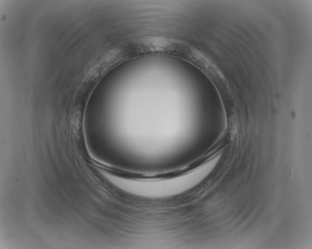 X0000081420509200701261557