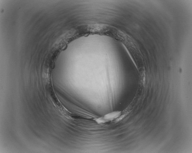 X0000081420510200701261557