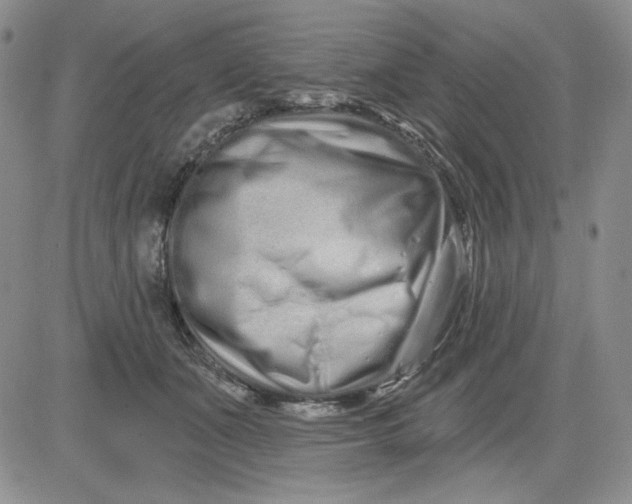 X0000081420511200701261557