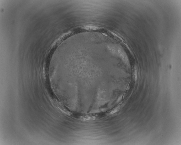 X0000081420512200701261557