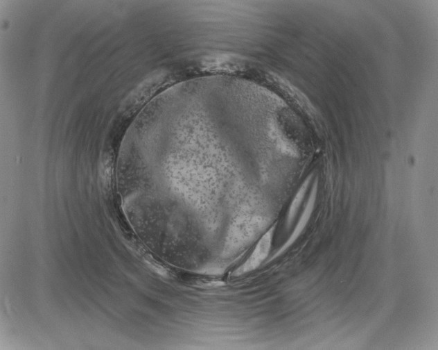 X0000081420513200701261557