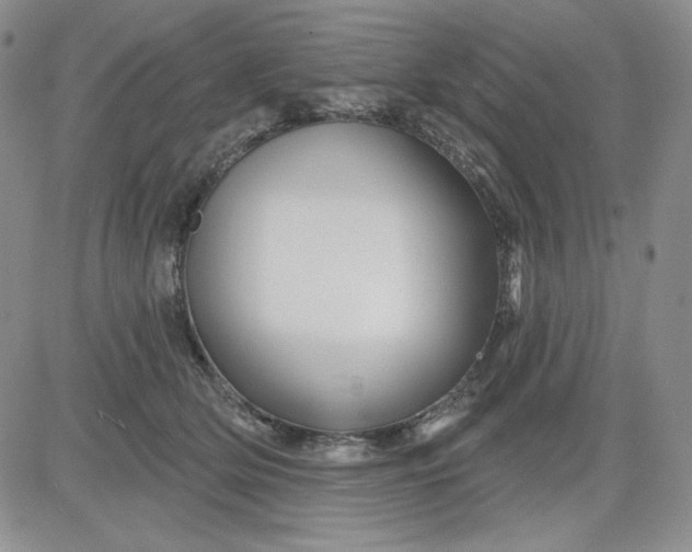 X0000081420514200701261557