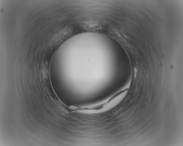 X0000081420515200701261557