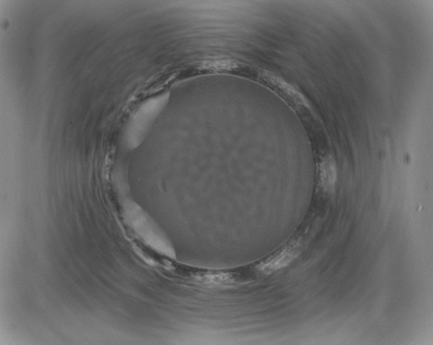 X0000081420517200701261557