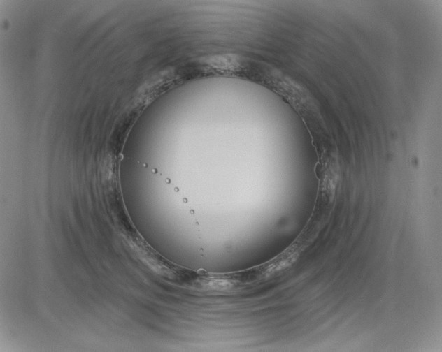 X0000081420518200701261557