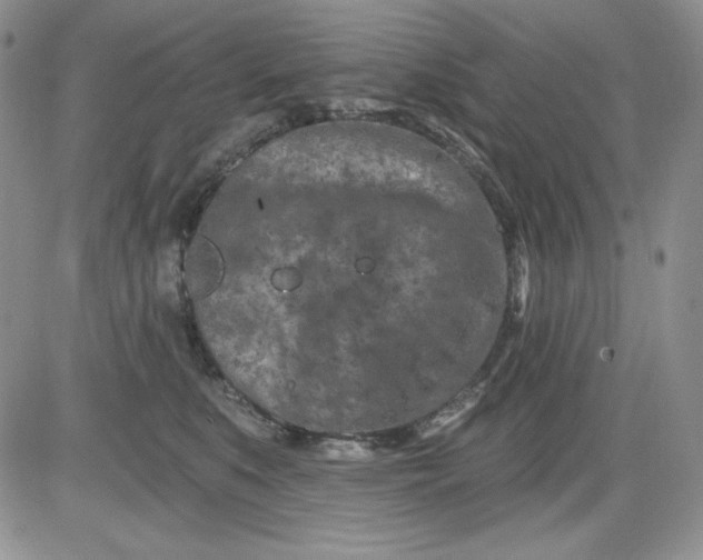 X0000081420519200701261557