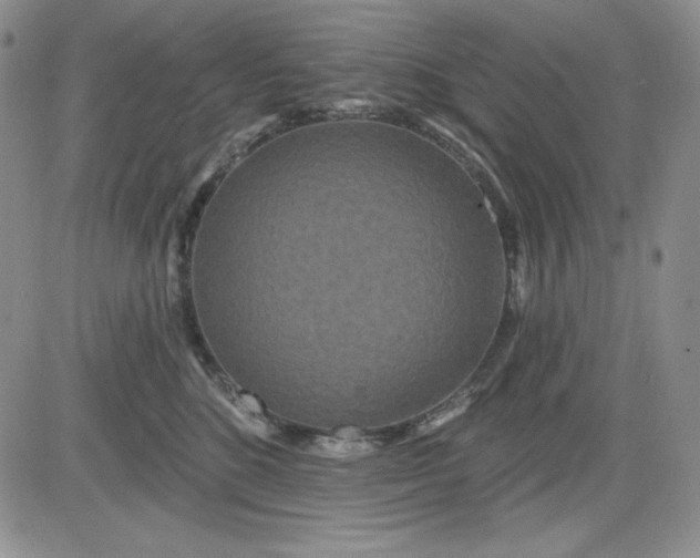 X0000081420520200701261557