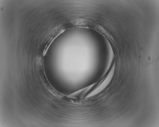 X0000081420521200701261557