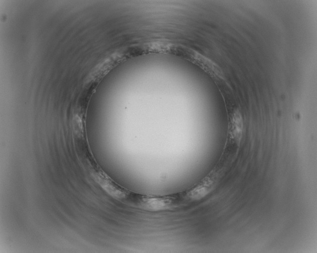 X0000081420522200701261557