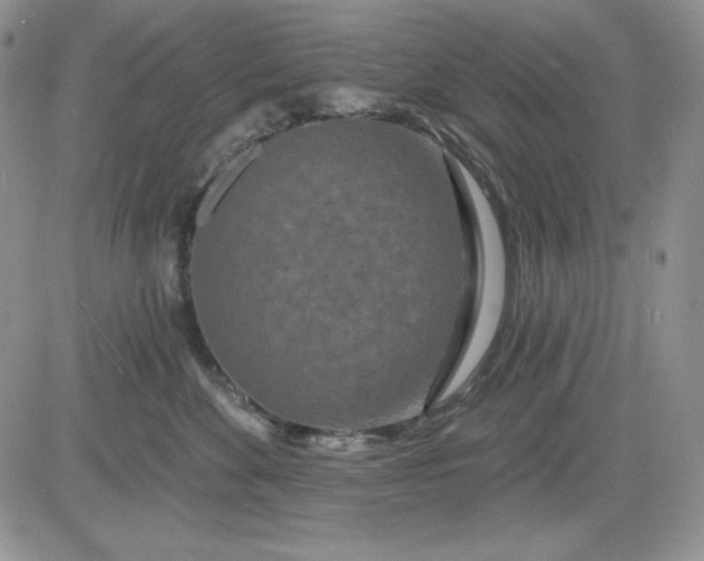 X0000081420524200701261557