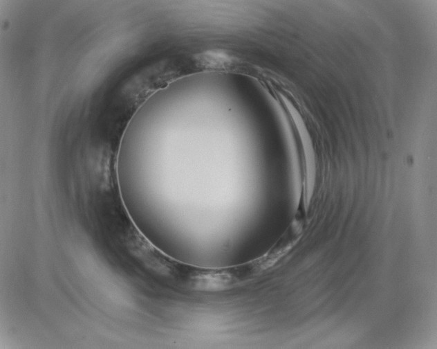 X0000081420525200701261557