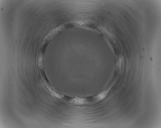 X0000081420526200701261557