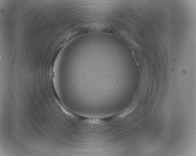 X0000081420528200701261557