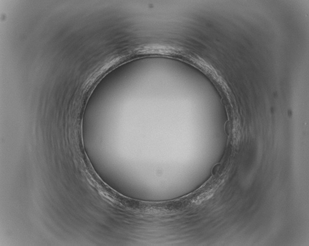 X0000081420529200701261556