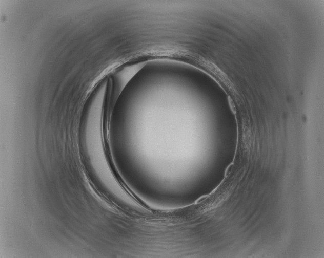 X0000081420530200701261556