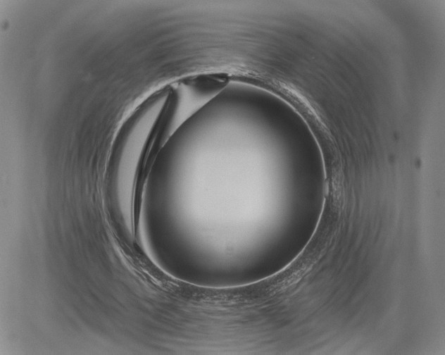 X0000081420532200701261556