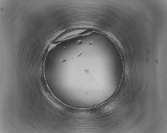 X0000081420533200701261556