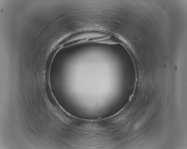 X0000081420535200701261556