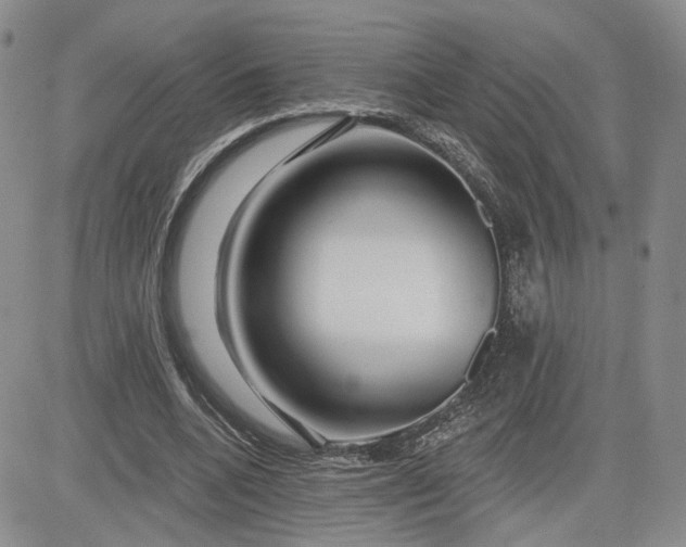 X0000081420536200701261556