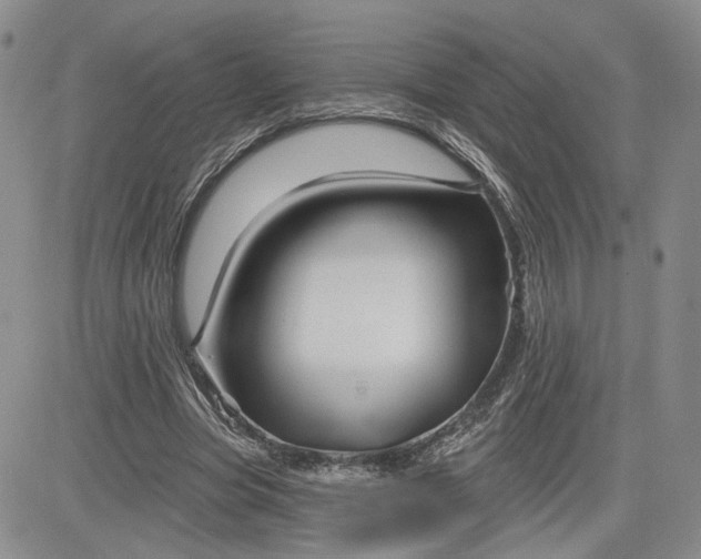 X0000081420537200701261556