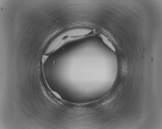 X0000081420538200701261556