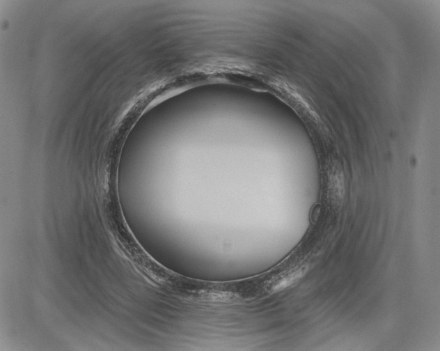 X0000081420539200701261556