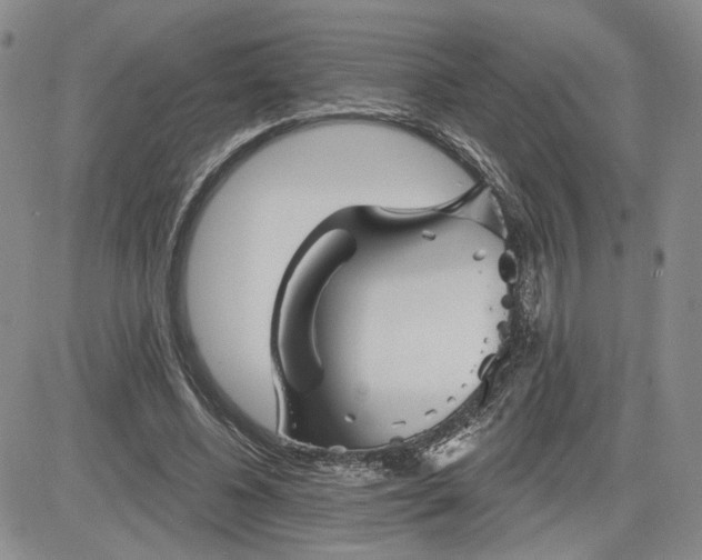 X0000081420540200701261556