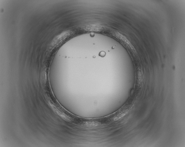 X0000081420541200701261556