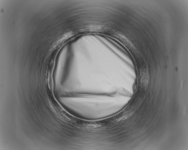 X0000081420542200701261556