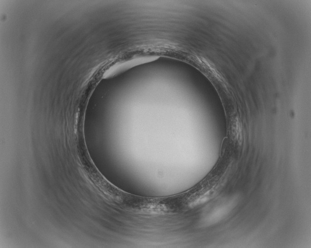 X0000081420543200701261556