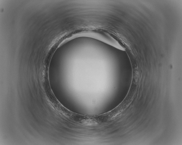 X0000081420544200701261556