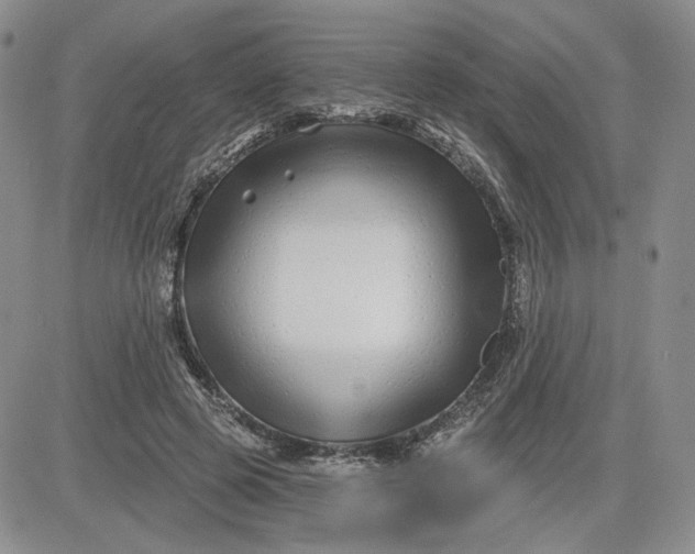 X0000081420545200701261556