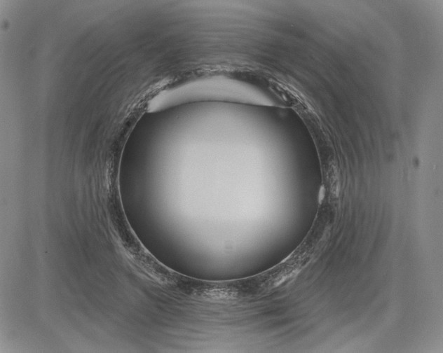 X0000081420546200701261556