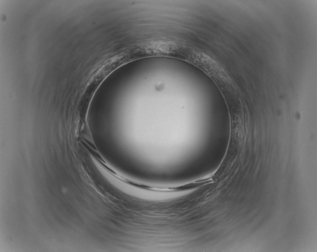 X0000081420548200701261556