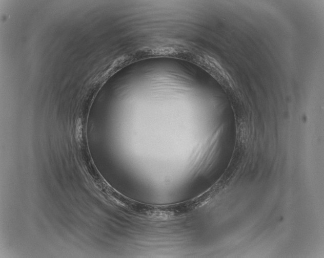 X0000081420549200701261556